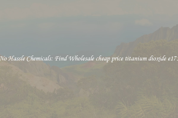 No Hassle Chemicals: Find Wholesale cheap price titanium dioxide e171