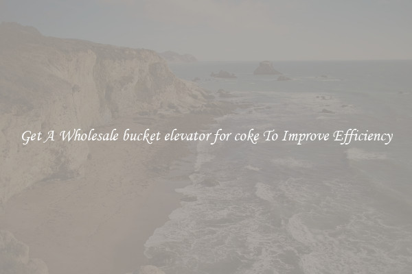 Get A Wholesale bucket elevator for coke To Improve Efficiency