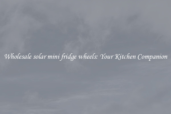 Wholesale solar mini fridge wheels: Your Kitchen Companion