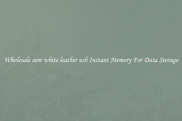 Wholesale oem white leather usb Instant Memory For Data Storage