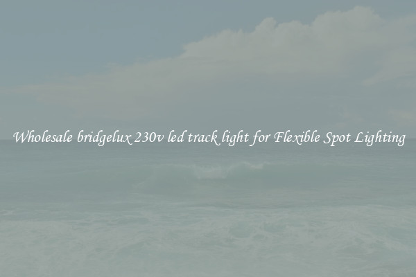 Wholesale bridgelux 230v led track light for Flexible Spot Lighting