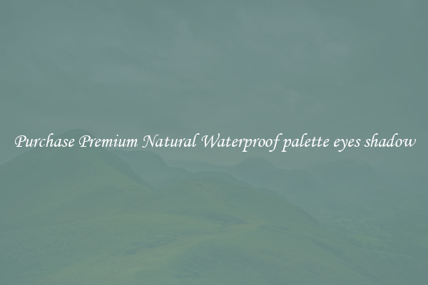 Purchase Premium Natural Waterproof palette eyes shadow