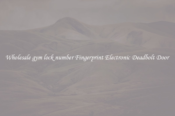 Wholesale gym lock number Fingerprint Electronic Deadbolt Door 