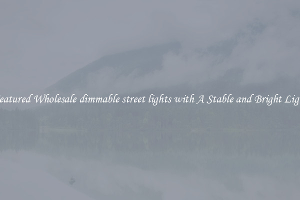Featured Wholesale dimmable street lights with A Stable and Bright Light