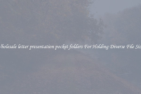 Wholesale letter presentation pocket folders For Holding Diverse File Sizes