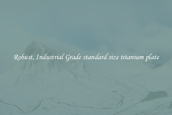 Robust, Industrial Grade standard size titanium plate
