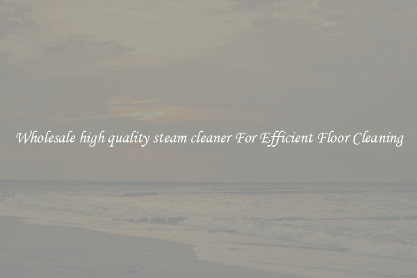 Wholesale high quality steam cleaner For Efficient Floor Cleaning