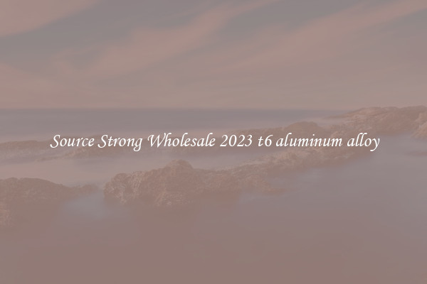 Source Strong Wholesale 2023 t6 aluminum alloy