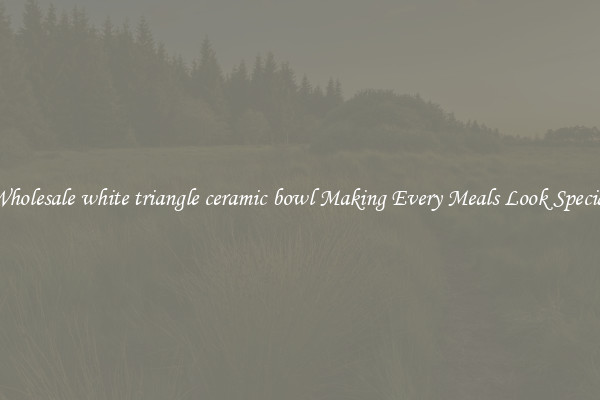 Wholesale white triangle ceramic bowl Making Every Meals Look Special