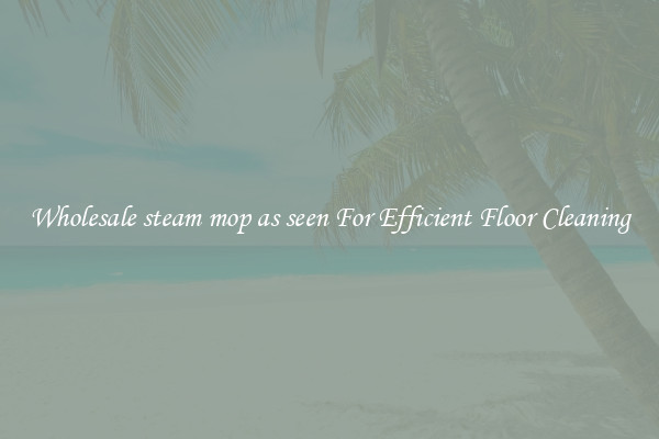 Wholesale steam mop as seen For Efficient Floor Cleaning