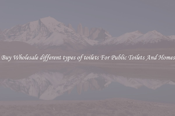 Buy Wholesale different types of toilets For Public Toilets And Homes