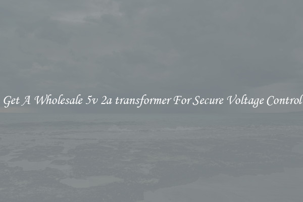 Get A Wholesale 5v 2a transformer For Secure Voltage Control