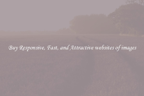 Buy Responsive, Fast, and Attractive websites of images