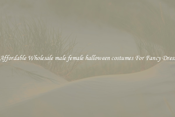 Affordable Wholesale male female halloween costumes For Fancy Dress