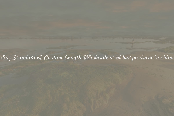 Buy Standard & Custom Length Wholesale steel bar producer in china