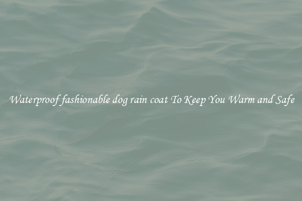 Waterproof fashionable dog rain coat To Keep You Warm and Safe