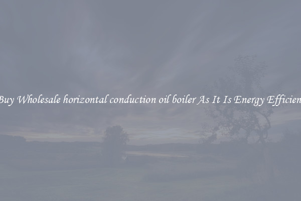 Buy Wholesale horizontal conduction oil boiler As It Is Energy Efficient